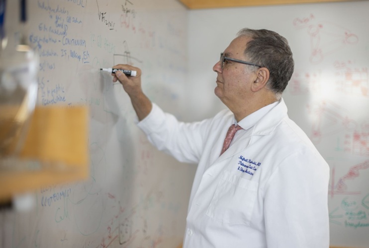 Imagen: la IA puede ayudar a los investigadores a comprender la enfermedad pulmonar y propone el tratamiento (foto cortesía de YSM) Imagen: la IA puede ayudar a los investigadores a comprender la enfermedad pulmonar y propone el tratamiento (foto cortesía de YSM)