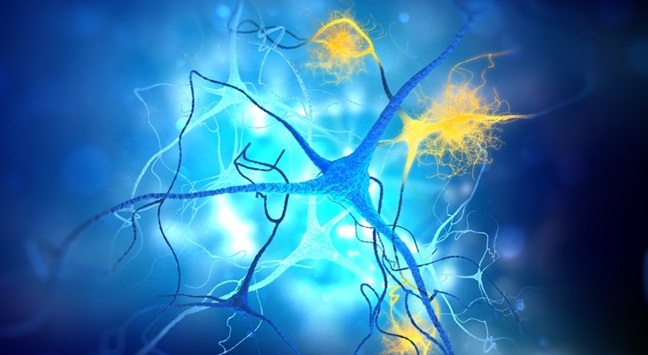 Imagen: el análisis de sangre ofrece una herramienta más rápida y menos invasiva para el diagnóstico de Alzheimer (fotografía cortesía de Shutterstock) Imagen: el análisis de sangre ofrece una herramienta más rápida y menos invasiva para el diagnóstico de Alzheimer (fotografía cortesía de Shutterstock)