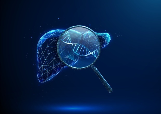 Imagen: la puntuación de nicho MYCN derivada de IA predice el riesgo de cáncer de hígado antes de que se formen tumores (fotografía cortesía de Adobe Stock)