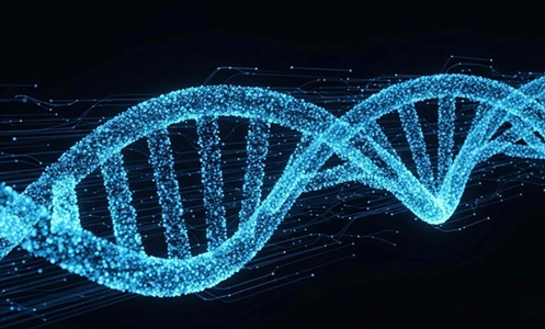 Imagen: el algoritmo de IA de EvORanker reduce miles de genes candidatos al objetivo más probable que cause enfermedades (crédito de la foto: 123RF)