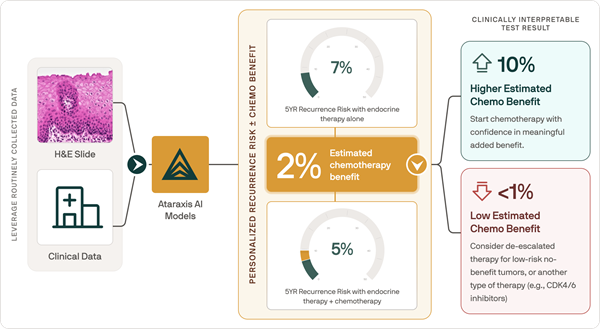 Imagen: Ataraxis Breast CTX combina diapositivas de patología H&E con datos clínicos para generar resultados pronósticos y predictivos específicos del paciente (fotografía cortesía de Ataraxis AI)