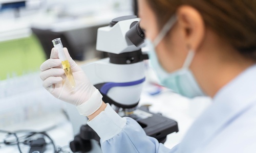 Foto cortesía de Adobe Stock