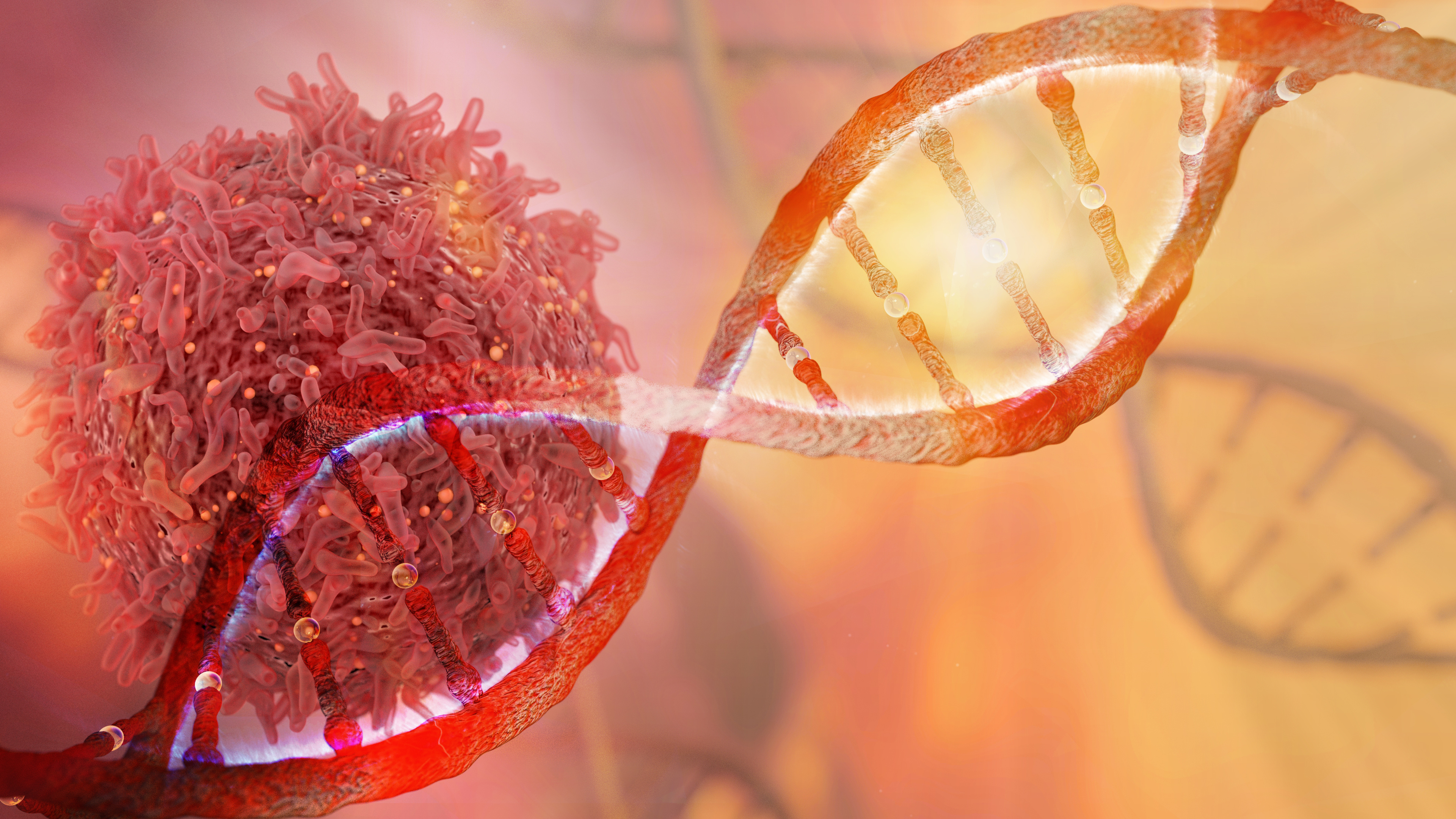 Imagen: CellDx-Tissue es una prueba IVD cualitativa que utiliza NGS dirigida de ADN y ARN aislado de tejido tumoral sólido FFPE para analizar 517 genes asociados al cáncer (crédito de la imagen: Adobe Stock)