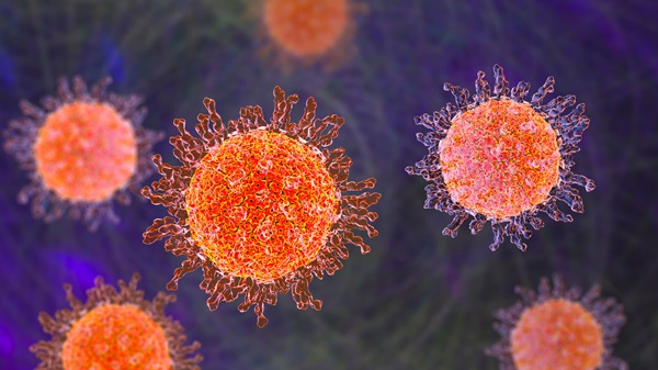Imagen: El ensayo está diseñado para detectar simultáneamente HSV-1, HSV-2, VZV y MPXV en una sola prueba (Crédito de la imagen: Adobe Stock) Imagen: El ensayo está diseñado para detectar simultáneamente HSV-1, HSV-2, VZV y MPXV en una sola prueba (Crédito de la imagen: Adobe Stock)