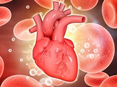 Crédito de la imagen: Shutterstock Crédito de la imagen: Shutterstock