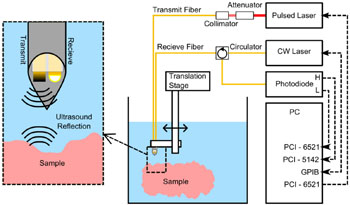 Imagen: Una configuración del sistema con la cual se muestra la generación de ultrasonidos a la izquierda y la fibra de detección ubicada en la carcasa metálica tubular (Fotografía cortesía de OSA Publishing).