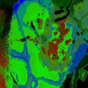 Imagen: Imagen hiperespectral del cerebro; el tumor está indicado por píxeles rojos (Fotografía cortesía del proyecto HELICoiD).