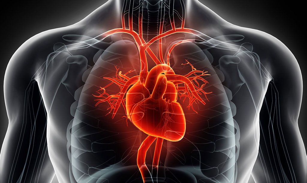 Imagen: La RMC temprana puede ayudar a identificar corazones rotos (Fotografía cortesía de Getty Images)