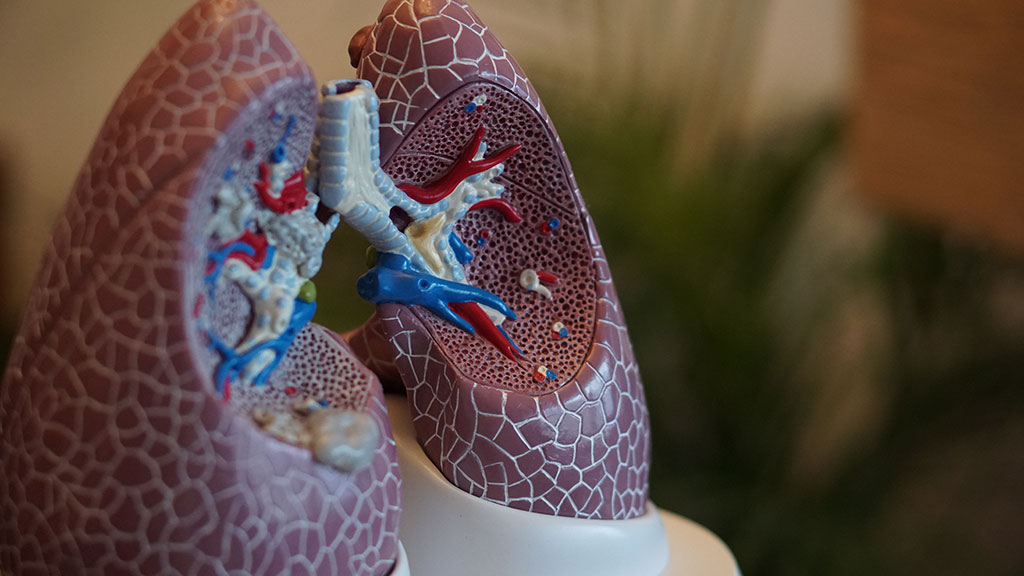 Imagen: Se ha visto daño pulmonar duradero en niños y adolescentes después de COVID (Fotografía cortesía de Unsplash)