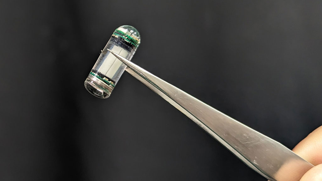 Imagen: Los componentes del dosímetro pueden caber en una cápsula de 18 mm por 7 mm (Fotografía cortesía de la Universidad de NUS)