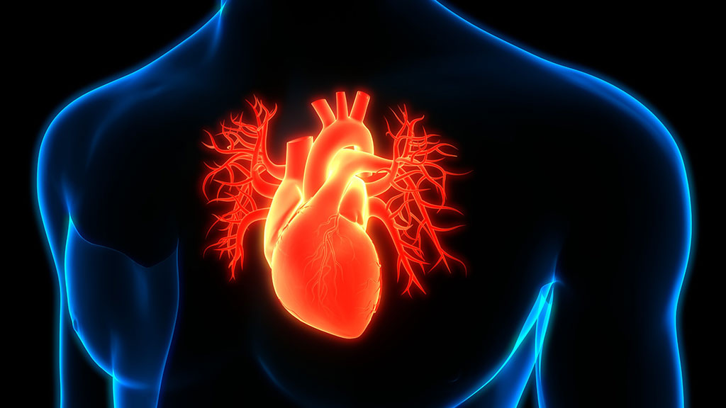 Imagen: CT-FFR proporciona una estimación de flujo sanguíneo similar a la cateterización del corazón invasiva (Fotografía cortesía de 123RF)
