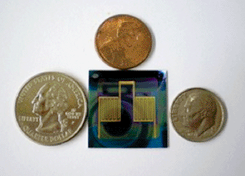 Image: The GFAP biosensor (Photo courtesy of Weiguo Huang/ JHU).