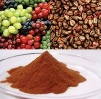 Image: Grape seed extract may represent a new therapeutic option to alleviate damage caused by chemotherapy to intestinal tissues while reducing the viability of colon cancer cells (Photo courtesy of Nutritional Outlook). Image: Grape seed extract may represent a new therapeutic option to alleviate damage caused by chemotherapy to intestinal tissues while reducing the viability of colon cancer cells (Photo courtesy of Nutritional Outlook).