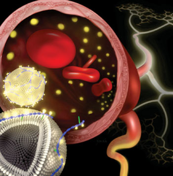 Image: Dr. Kong and others demonstrated that their fastener molecule readily inserted itself into the membrane of pre-made liposomes. Gadolinium stably associated with the modified nanoparticles in solution, and experiments in animal models showed that these nanoparticles produced clear diagnostic images (Photo courtesy of Janet Sinn-Hanlon, DesignGroup@VetMed, University of Illinois). Image: Dr. Kong and others demonstrated that their fastener molecule readily inserted itself into the membrane of pre-made liposomes. Gadolinium stably associated with the modified nanoparticles in solution, and experiments in animal models showed that these nanoparticles produced clear diagnostic images (Photo courtesy of Janet Sinn-Hanlon, DesignGroup@VetMed, University of Illinois).