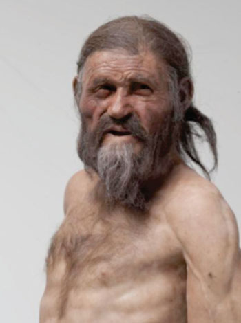 Image: Reconstruction of the Iceman “Ötzi“ as presented in the South Tyrolean Archaeology Museum showing the Iceman with brown eyes based on the genetic analysis (Photo courtesy of the South Tyrol Museum of Archaeology, Photo Ochsenreiter). Image: Reconstruction of the Iceman “Ötzi“ as presented in the South Tyrolean Archaeology Museum showing the Iceman with brown eyes based on the genetic analysis (Photo courtesy of the South Tyrol Museum of Archaeology, Photo Ochsenreiter).