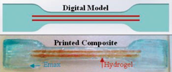 Image: Fiber reinforced hydrogels printed in a single-step process (Photo courtesy of the University of Wollongong).
