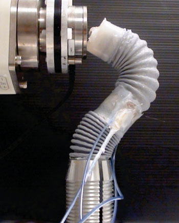 Image: The biomimetic soft manipulator for MIS (Photo courtesy of Sant\'Anna School of Advanced Studies).