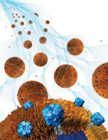 Image: Nanosponge-hydrogel treats local bacterial infections (Image: courtesy of Weiwei Gao/UCSD).