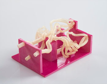 Image: Vascular testing model produced on the Stratasys Objet500 Connex3 3D printer (Photo courtesy of the Jacobs Institute).