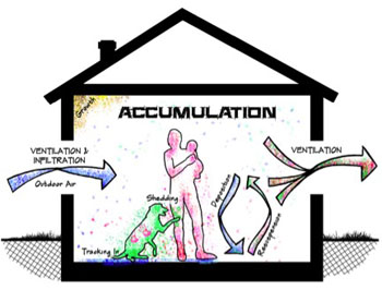 Image: Microbe accumulation in the indoor environment (Photo courtesy of Yale University).