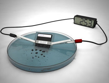 Image: A working transient battery generating 2.5 Volts (Photo courtesy of Ashley Christopherson / Iowa State University).