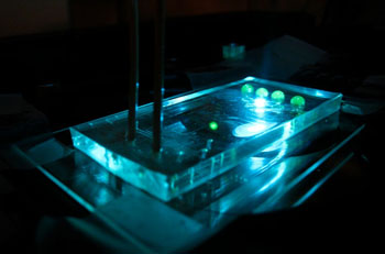 Image: A controlled microfluidic device used to manage glucose release (photo courtesy Roper Lab / FSU). Image: A controlled microfluidic device used to manage glucose release (photo courtesy Roper Lab / FSU).