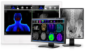 Image: NEC will discontinue its medical diagnostic displays to focus on its healthcare display portfolio (Photo courtesy of NEC Display Solutions).