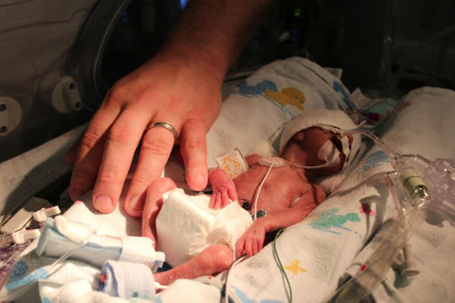 Image: Research shows aggressive parenteral feeding helps preemies grow (Photo courtesy of MedUniVienna).