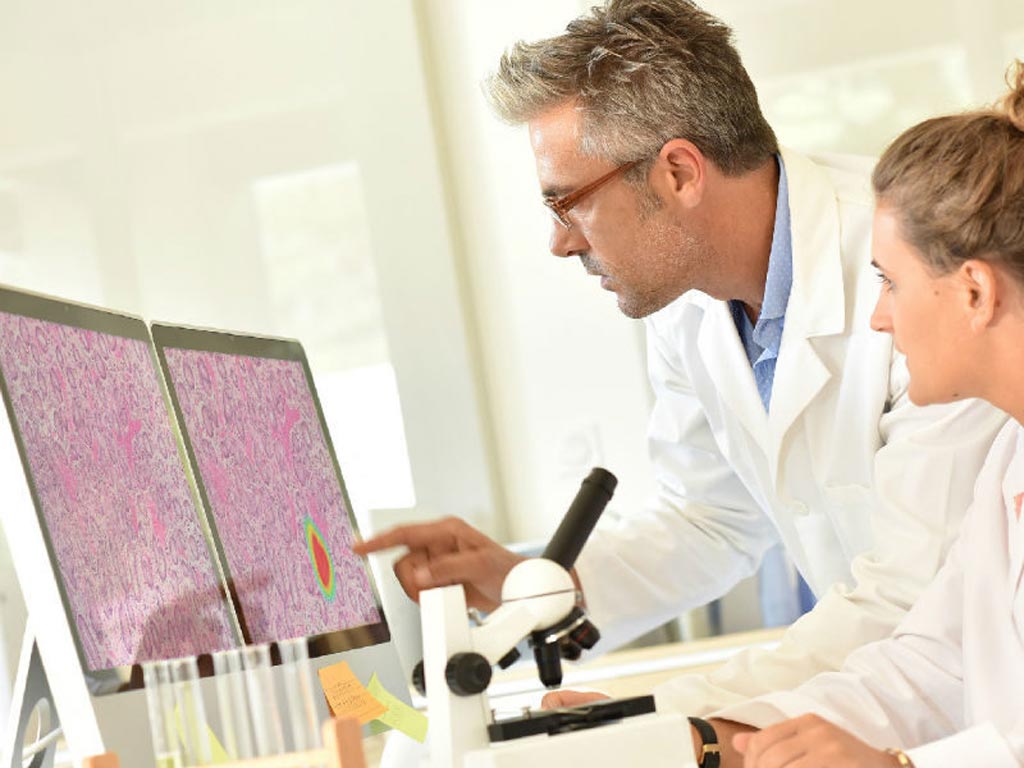 Image: The Second Read (SR) system is designed to identify various cell types and features within whole slide images (Photo courtesy of Ibex Medical Analytics). Image: The Second Read (SR) system is designed to identify various cell types and features within whole slide images (Photo courtesy of Ibex Medical Analytics).
