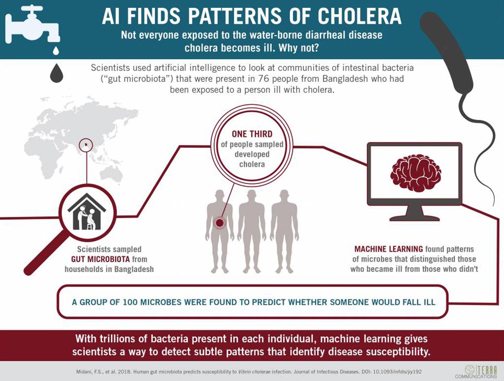 Image: AI detects patterns of gut microbes indicative of cholera risk (Photo courtesy of Duke University).