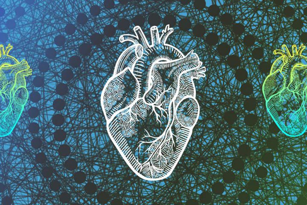 Image: The Trees of Predictors algorithm uses machine learning and 53 data points to more accurately predict life expectancy after heart failure (Photo courtesy of UCLA).