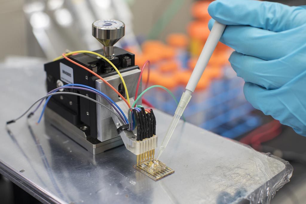 Image: A semiconducting plastic sensor can monitor metabolites directly (Photo courtesy of KAUST).