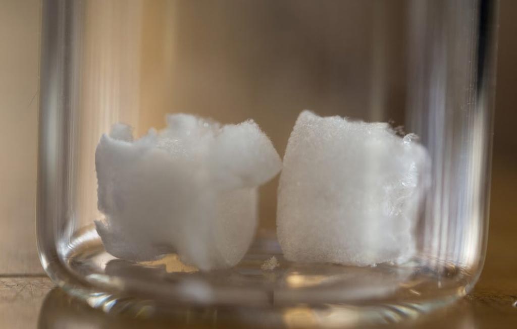 Image: A new study claims nanocrystals derived from plant cellulose can form a strong but lightweight aerogel (Photo courtesy of Clare Kiernan/ UBC).