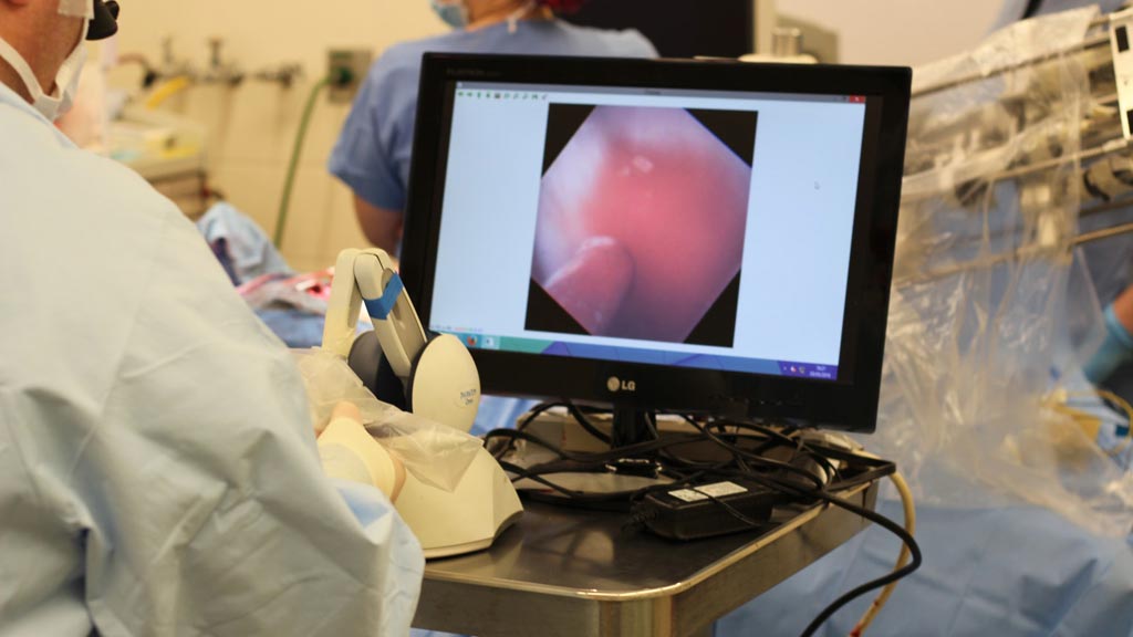 Image: A robot catheter seeks out a leaky valve in the heart of a live pig (Photo courtesy of Fagogenis et al/Science Robotics).