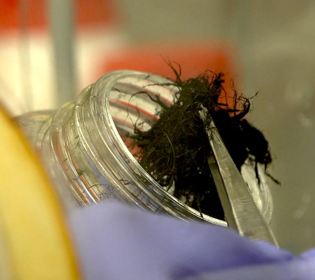 Image: A batch of CNTfs before being spun into sutures (Photo courtesy of Rice University).