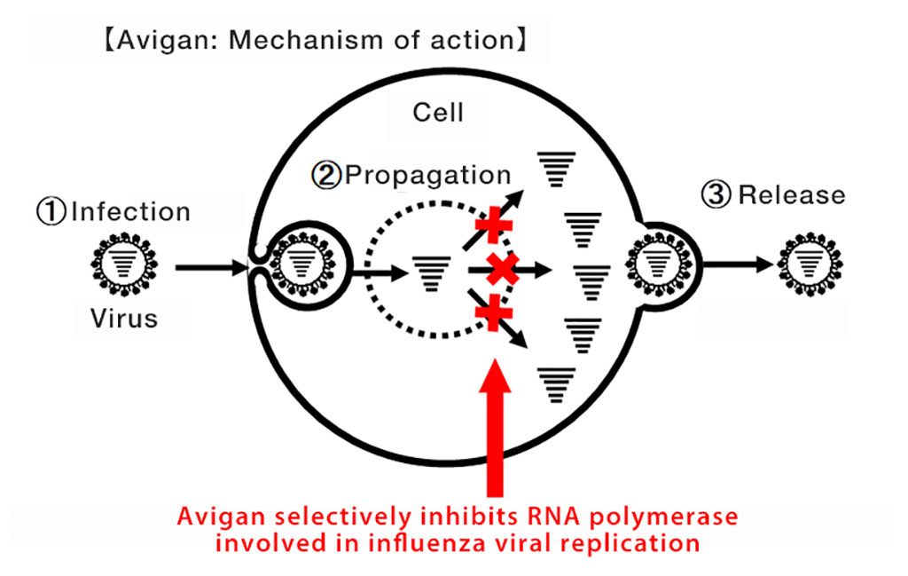 Image: Avigan: Mechanism of action (Photo courtesy of FUJIFILM Corporation)