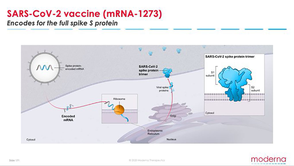 Image: SARS-CoV-2 vaccine (mRNA-1273) (Photo courtesy of Moderna, Inc.)