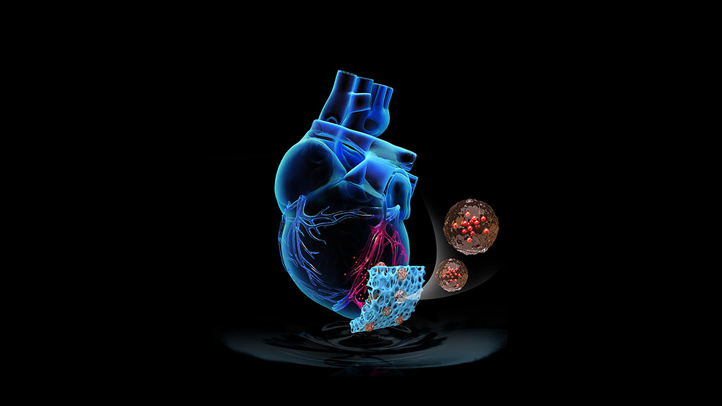 Image: A synthetic cardiac patch boosts recovery of damaged hearts (photo courtesy of NC State University)