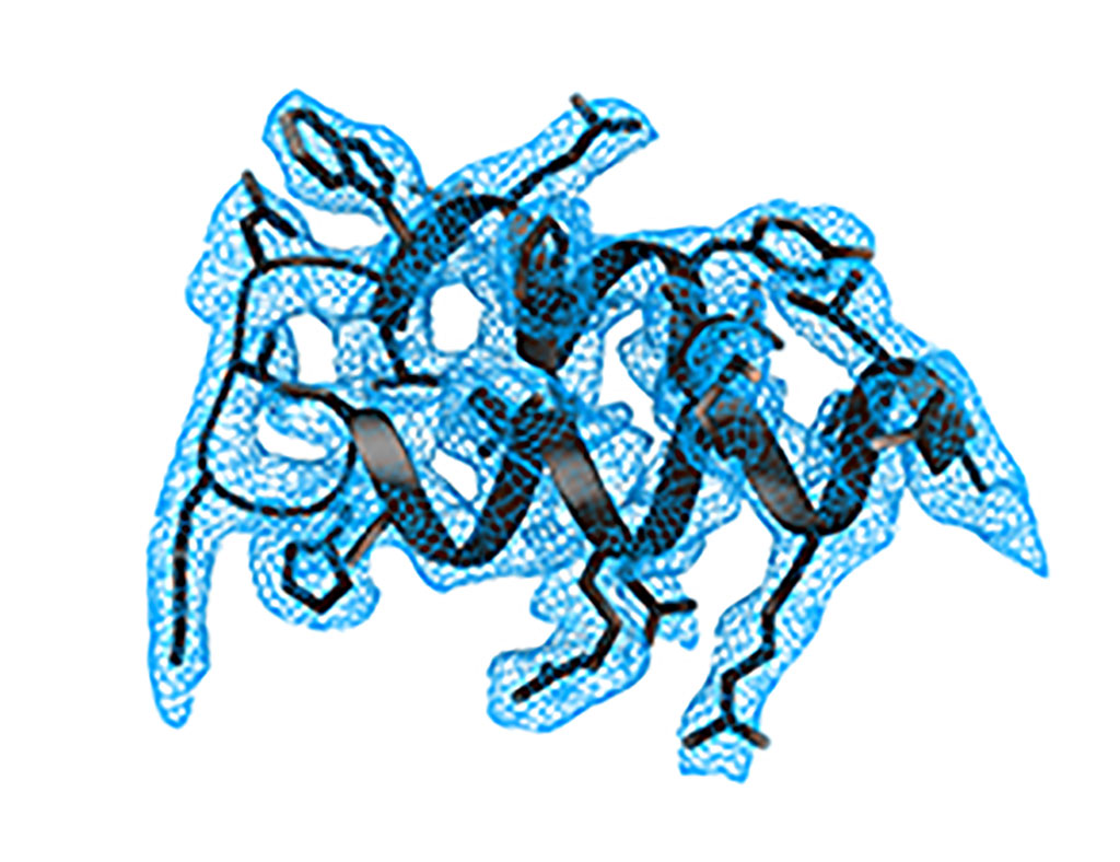 Image: Devastating effect: how virus protein Nsp1 binds to the ribosome (Photo courtesy of Beckmann Lab)