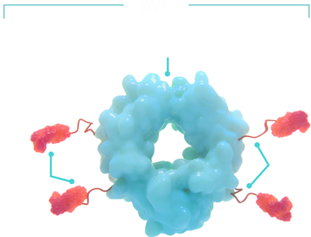 Image: Cidara’s Cloudbreak antiviral platform is a fundamentally new approach to treating and preventing viral infections (Photo courtesy of Cidara Therapeutics, Inc.)