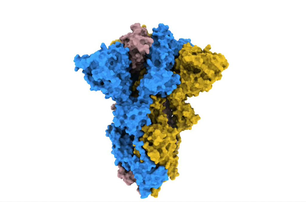 Image: New Insight into Structural Mechanism of Coronavirus Receptor Binding to Aid Development of COVID-19 Treatments and Vaccines (Photo courtesy of Francis Crick Institute)