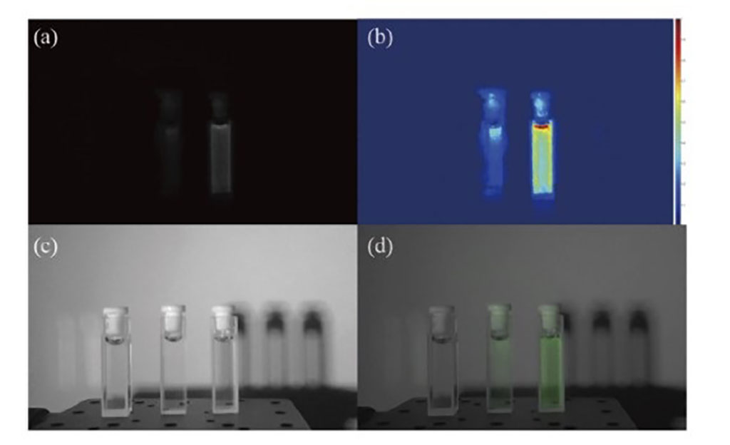 Image: Different concentrations of indocyanine green under NIR (a) visible light (b), and a fusion image (d) (Photo courtesy of Chenyoung Shi/ CAS)