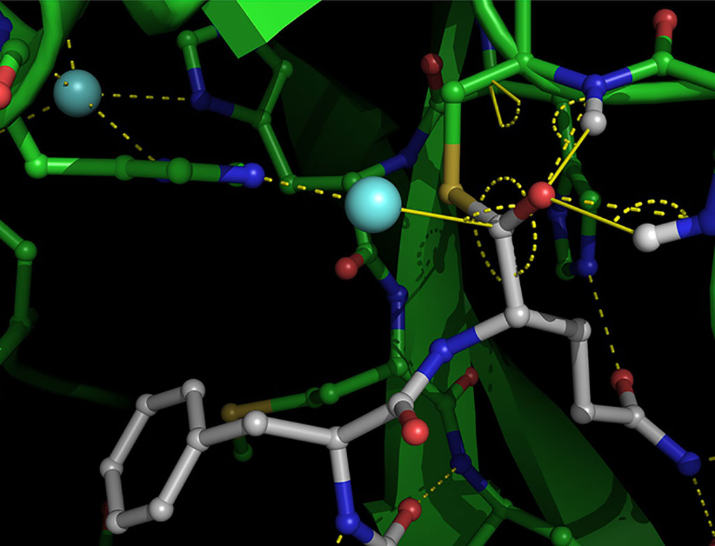 Image: X-ray crystallographic structure of SARS-CoV-2 main protease (Photo courtesy of University of British Columbia)