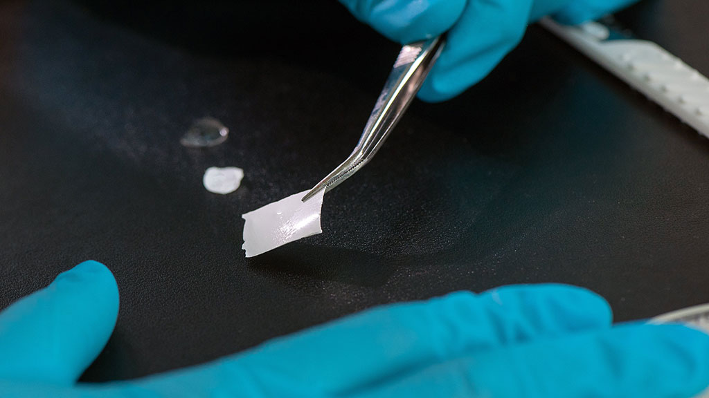Image: The biomolecular film can be picked up with tweezers and placed onto a wound (Photo courtesy of TUM)