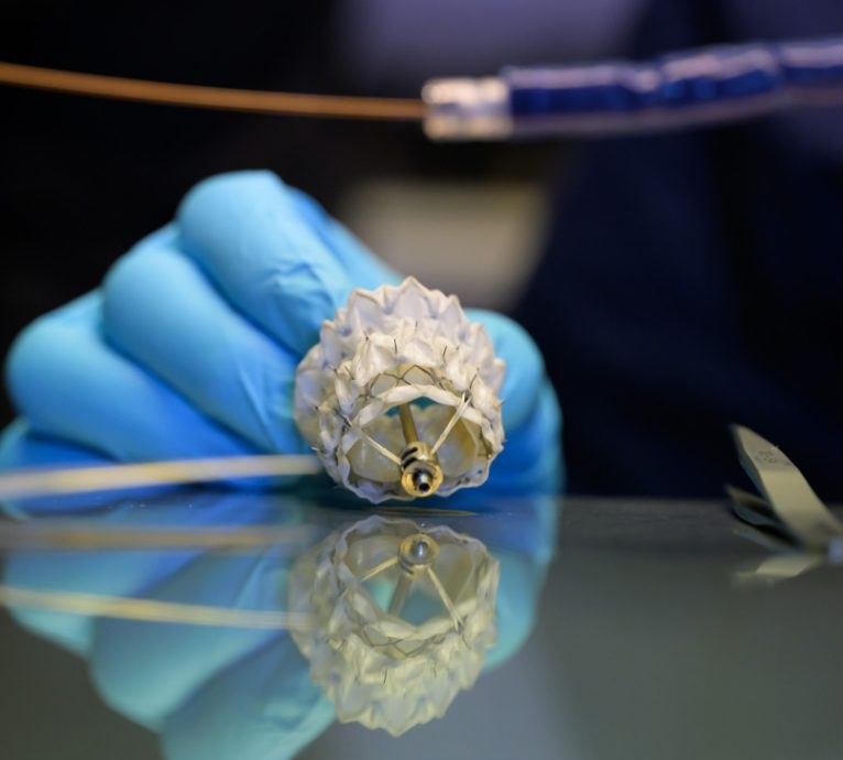 Image: A pioneering patient-optimized approach is being developed to repair and replace heart valves (Photo courtesy of Capstan)