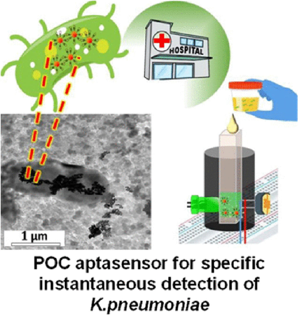 Image: A point-of-care aptasensor enables rapid diagnosis of UTIs (Photo courtesy of ACS Central Science, 2023)