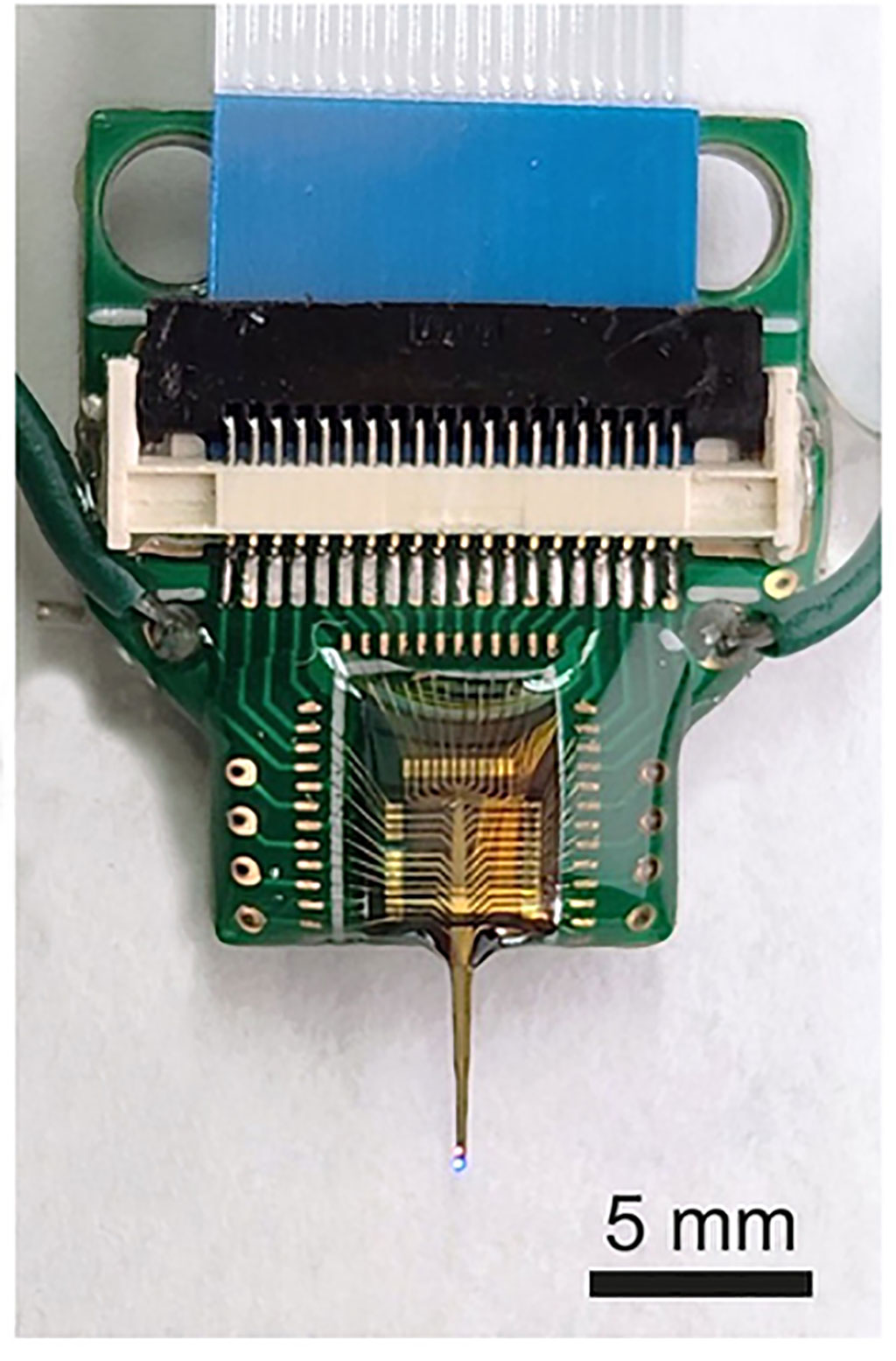 Image: The tip of the probe is about 0.2 millimeters wide and 0.05 millimeters thick (Photo courtesy of UMass Amherst)