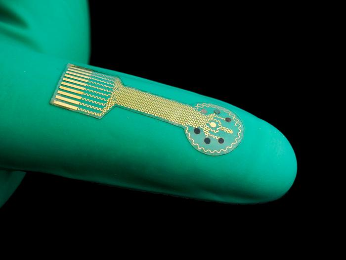 Image: The wearable bioelectronic system could improve chronic wound monitoring and healing (Photo courtesy of Wei Gao, California Institute of Technology)
