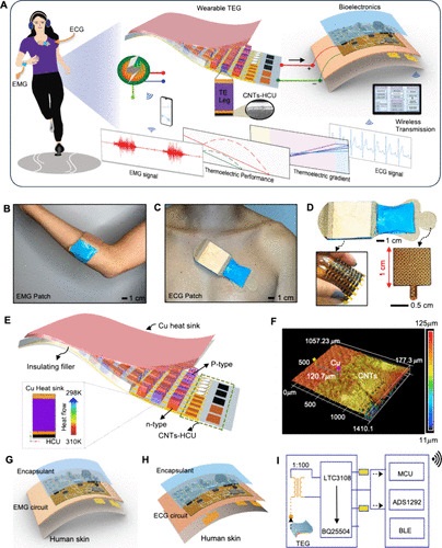 Image: Overview of the flexible thermoelectric wearable device for wireless multimodal physiological monitoring (Photo courtesy of ACS Appl. Mater. Interfaces 2024, 16, 29, 37401-37417)