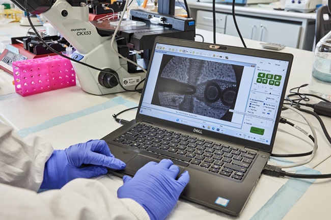 Image: Microgel manufacture using a microfluidic device (Photo courtesy of Jelena Rnjak-Kovacina/UNSW)